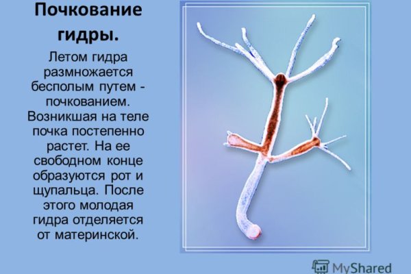 Кракен это современный даркнет маркет