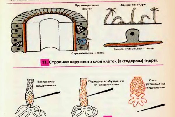 Кракен наркотики россия